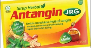 Manfaat Luar Biasa Antangin untuk Kesehatan dan Kesejahteraan Anda