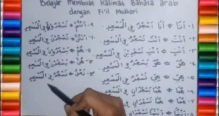 Tips Praktis Membuat Kalimat Bahasa Arab untuk Pemula