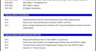 Inilah Cara Mudah Membuat CV Menarik dengan Microsoft Word 2010