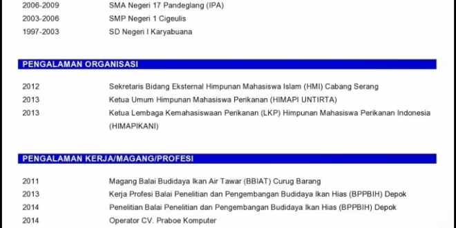 Inilah Cara Mudah Membuat CV Menarik dengan Microsoft Word 2010