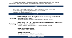 Cara Mudah Membuat CV Menarik dengan MS Word 2010