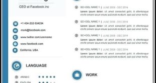 Mudah dan Efisien: Langkah-Langkah Membuat Template CV di Microsoft Word 2010