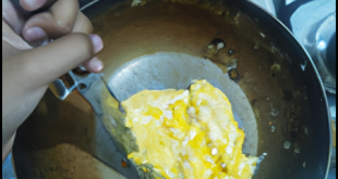 Cara Membuat Omelet Telur