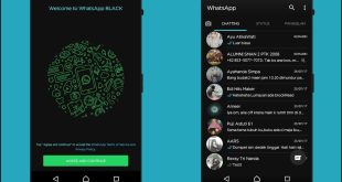 Download Whatsapp Mod Apk