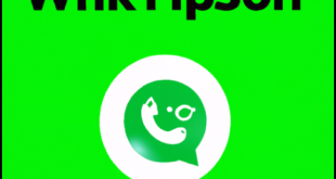 Download YMWhatsapp Apk (Versi Resmi Update) Anti Banned