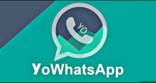 Download Apk Yowhatsapp