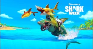 Unduh Hungry Shark World Mod Apk dan Rasakan Sensasi Memburu Mangsa Tanpa Batas