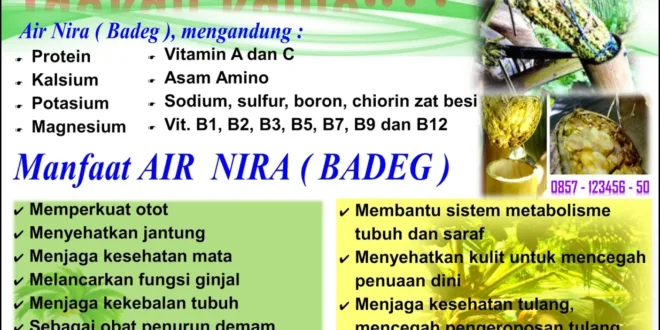 Inilah 7 Manfaat Luar Biasa Air Nira untuk Kesehatan Anda