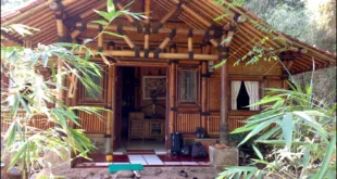 Menikmati Kesejukan Alam dengan Desain Rumah Bambu yang Elegan