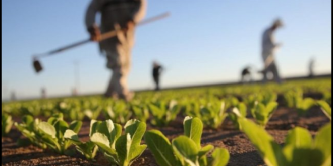 Optimalkan Pertanian Anda dengan Memahami Biologi: Mengapa Pelajaran Ini Penting Bagi Petani?