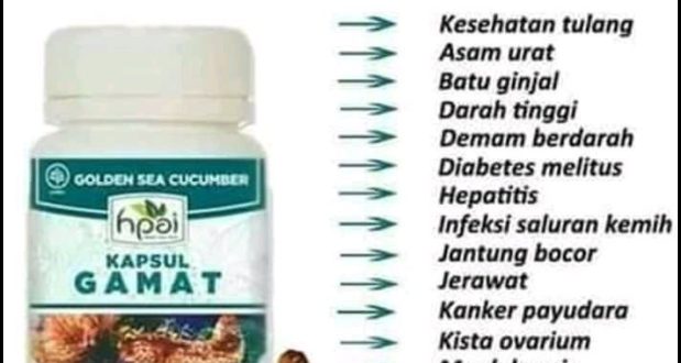 Kisah Sukses Konsumen: Manfaat Luar Biasa dari Produk Gamat HPAI